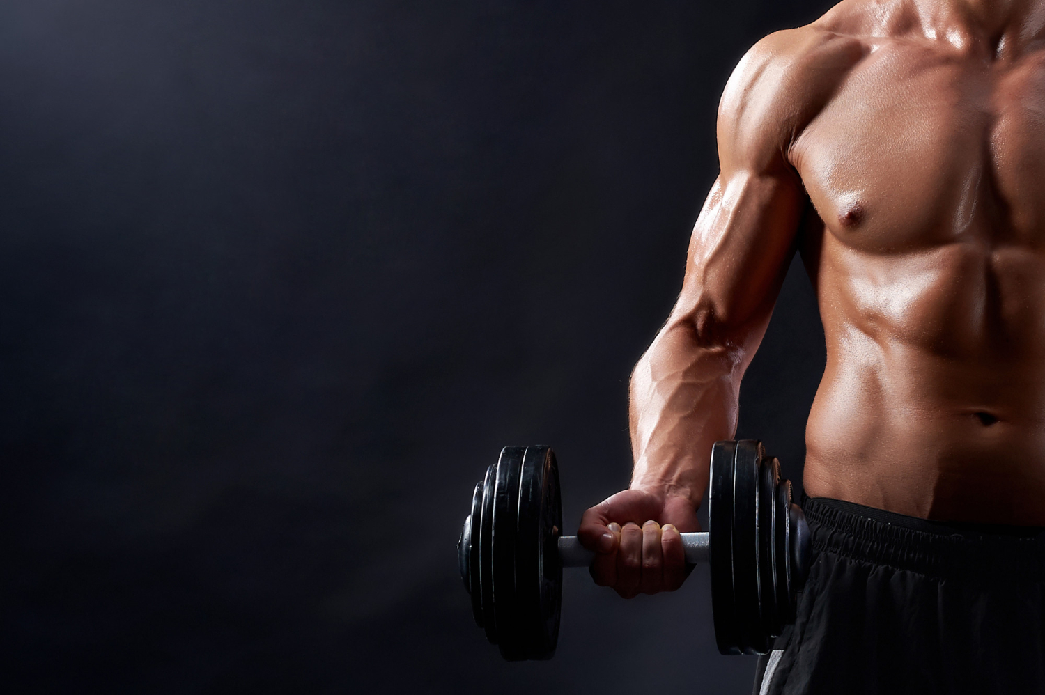 Fitness and Wellness